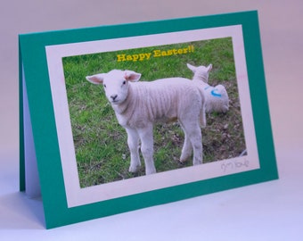 Easter card with a picture of lambs
