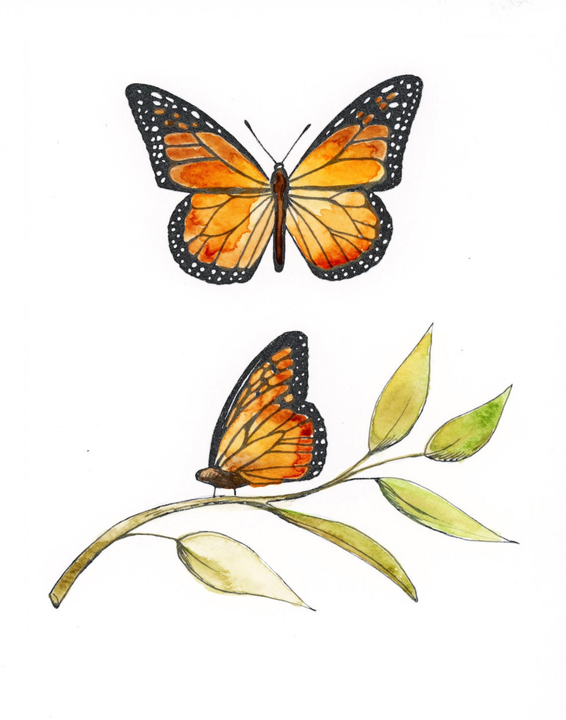 Monarch Butterfly - Paint Kit - Etsy