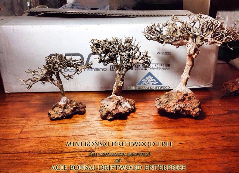 Aqua Bonsai Driftwood Moss Tree for Fish Shrimp Freshwater Nano Planted Tank AC744