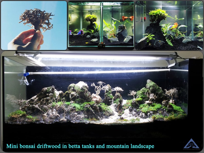 Aqua Bonsai Driftwood Moss Tree for Fish Shrimp Freshwater Nano Planted Tank AC744