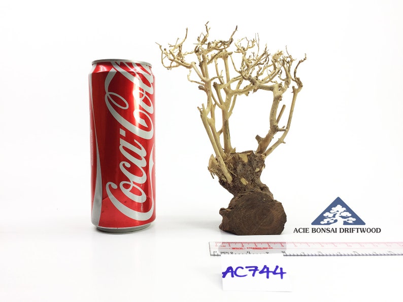 Aqua Bonsai Driftwood Moss Tree for Fish Shrimp Freshwater Nano Planted Tank AC744
