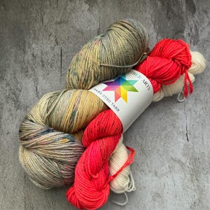 Destash | Tanis Fibers Arts Sock Set w/ 2 Minis