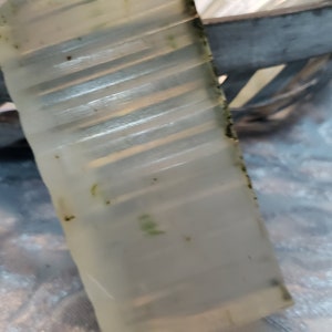 Detox Blend Herbal Soap