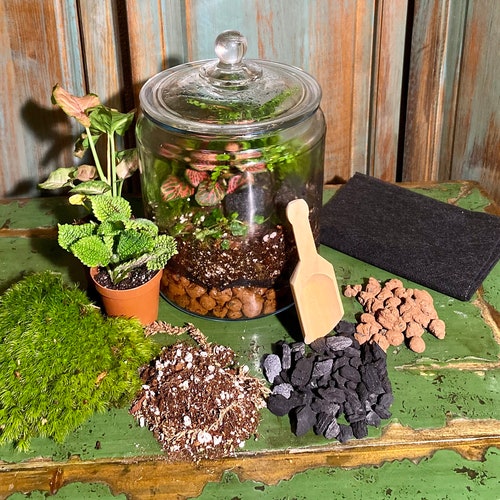 DIY Woodland Terrarium Kit Use Your Own Container Etsy