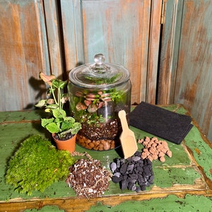 DIY Terrarium Kit