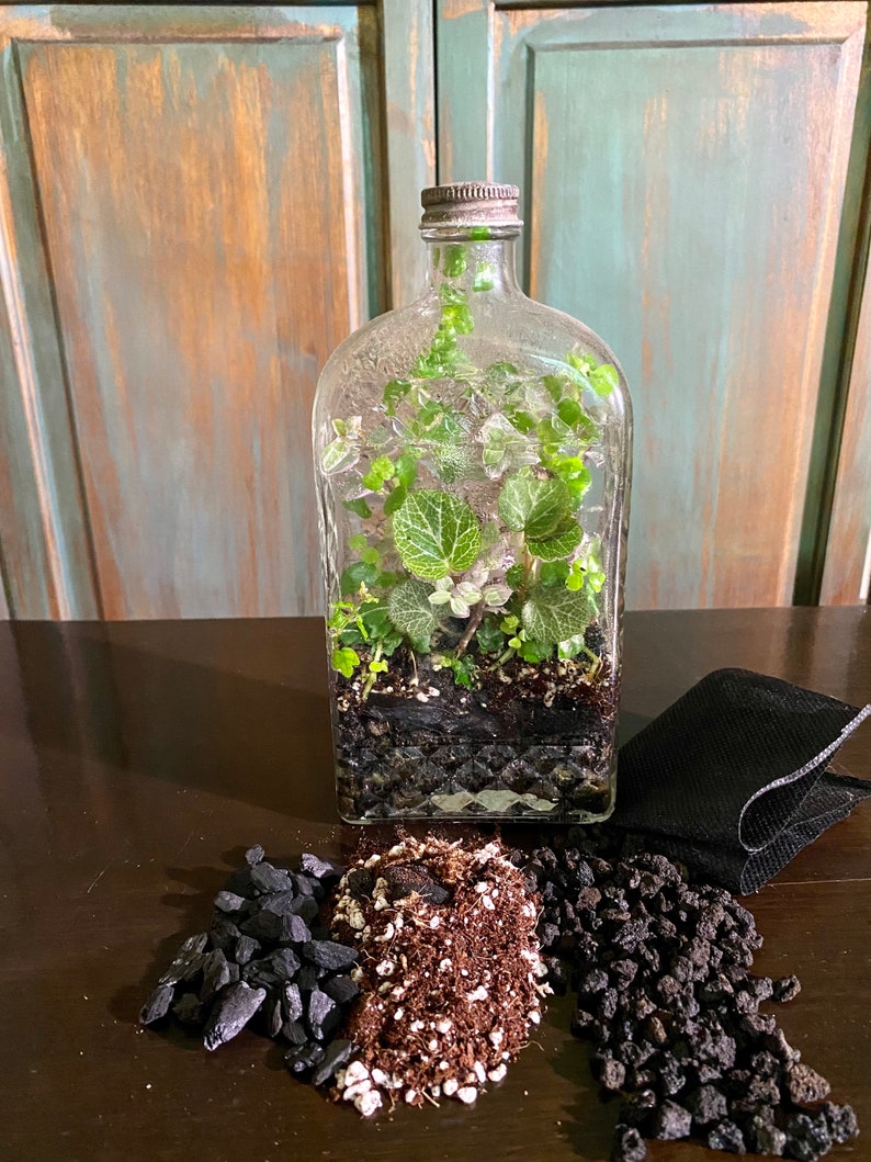 DIY Vintage Bottle Terrarium Kit Etsy