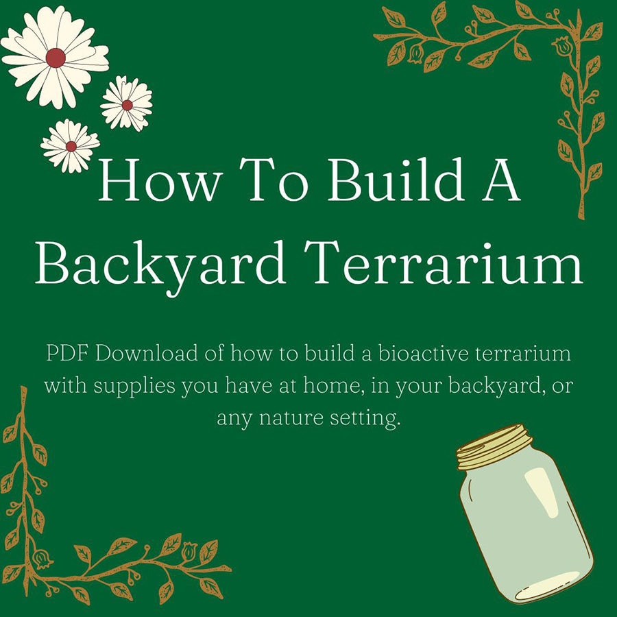 How To Build Terrarium How to Build a Terrarium From Your Backyard - Etsy