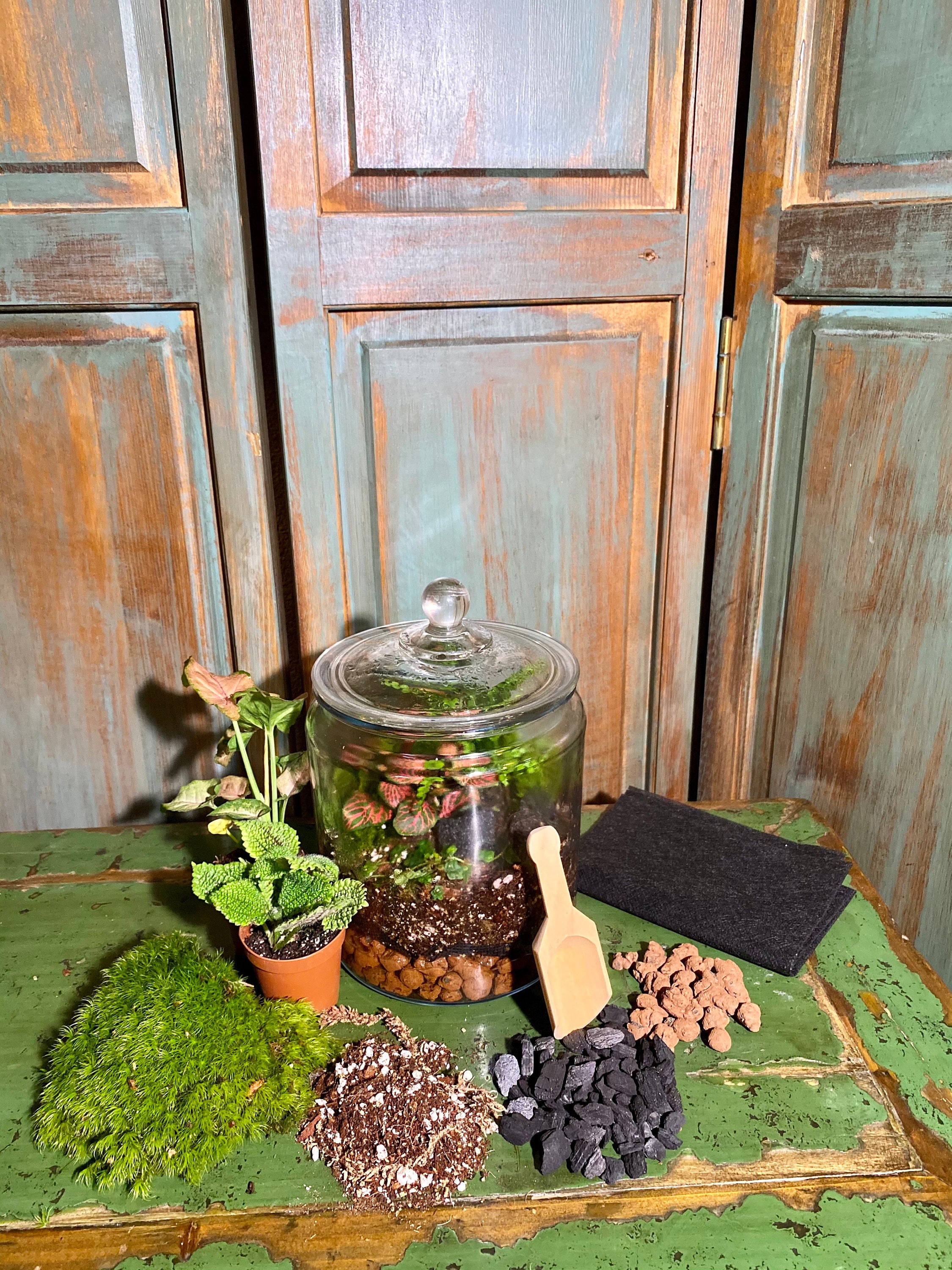 DIY Terrarium Kit Etsy