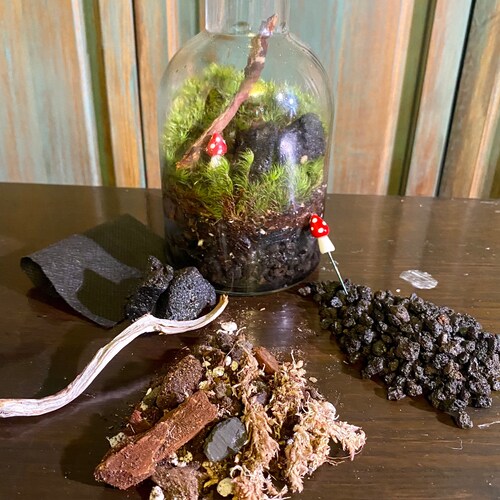 DIY Terrarium Kit Etsy