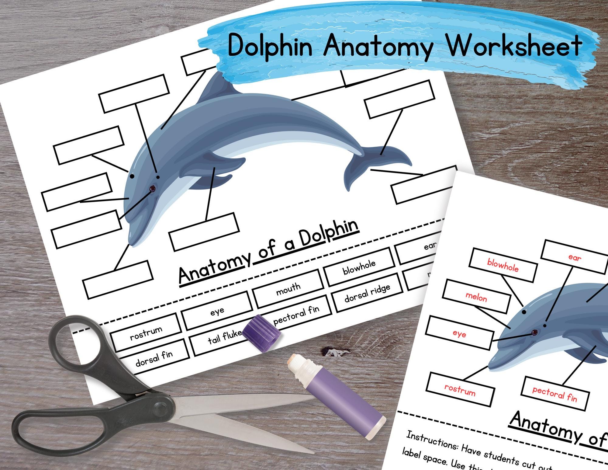 Island of the Blue Dolphin - Etsy island-of-the-blue-dolphin-etsy