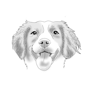 Custom Pet Portrait, Dog Art Illustration (Digital Download)