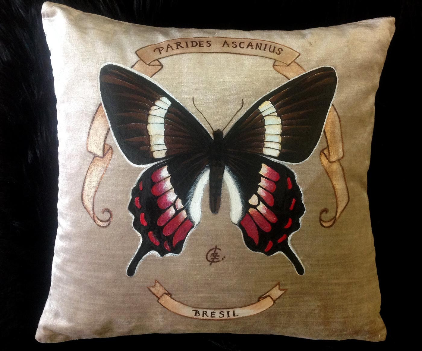 Coussin Papillon Parides Ascanius