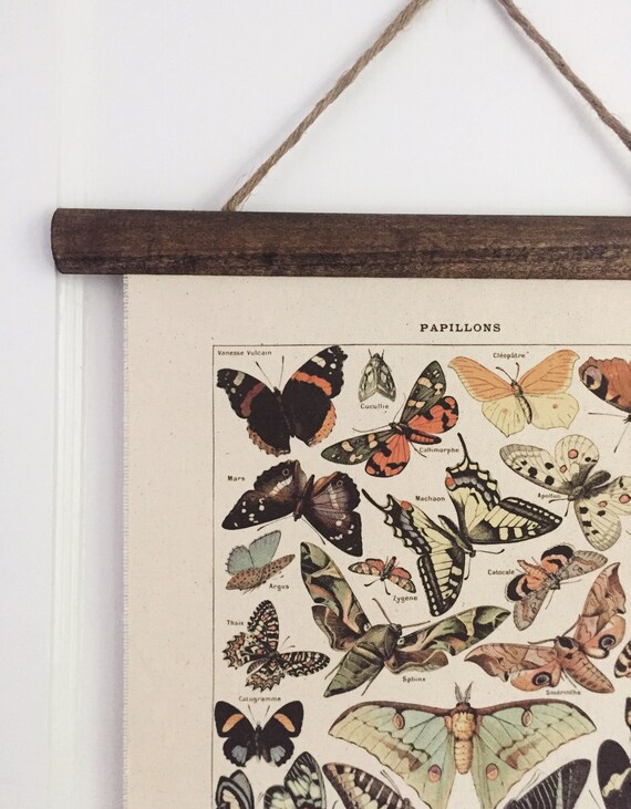 Vintage Art Print Poster Insect Wall Hangings Tapesty