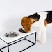 see more listings in the Dog Bowls section