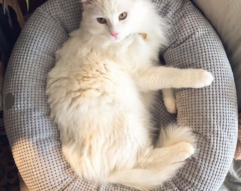 Donut-Nest für Katzen, sicheres bequemes Haustierbett