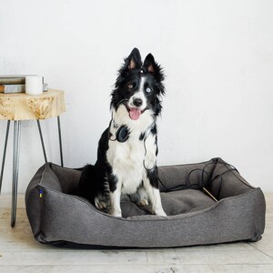 dog bed, dog bed large dogs, large dog bed, orthopedic dog bed, extra large dog bed, harley and cho, xl luxury dog bed, green dog bed, harleyandcho, modern pet bed, dog bed medium dog, xxl washable dog bed, dog couch sofa, dog bed puppy small dogs