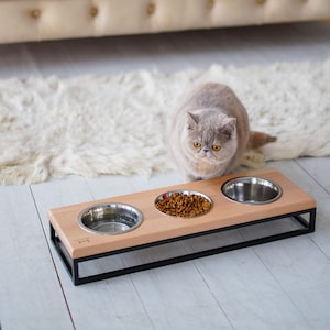 Triple cat feeder 2025