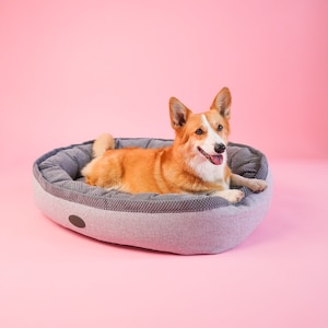 Car shaped dog bed new arrivals