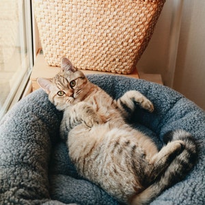 Puede incluir: Un gato atigrado tumbado en una cama de mascota gris y esponjosa. El gato est&aacute; mirando directamente a la c&aacute;mara. Una cesta de mimbre tejida est&aacute; en el fondo.