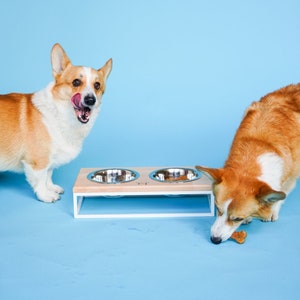 Moderner Fressnapf für Haustier / Erhöhter Futternapf mit HOLZ / Weißer Haustier Futterspender / Geschenk für Hundebesitzer / Katzenhaus / Weißer Sockel