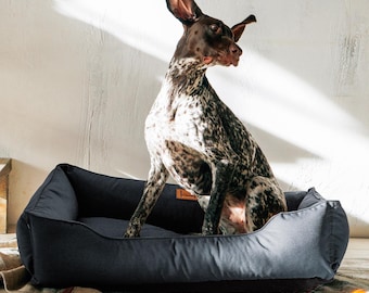 Moss Green Dog Bed: Removable Cover, S-XXL Pet Nest