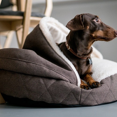 omega hooded dog cave