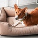 see more listings in the Velvet Beds for Dogs section