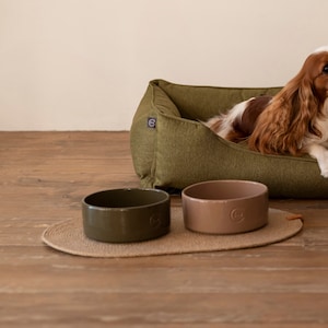 May include: A Cavalier King Charles Spaniel dog laying in a green dog bed with two green and brown ceramic dog bowls on a jute rug.