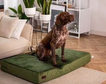 Large Orthopedic Bed For Dogs, Green Floor Bed For Big Dogs, Floor Mat For Large Dogs, Removable And Washable Cover Bed For Dogs