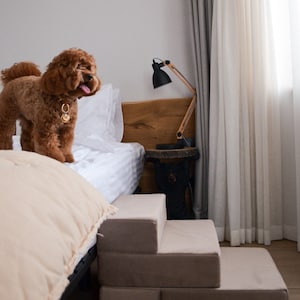 Beige Dog Steps, Dog Stairs, Cat Stairs, Stairs For Small Dogs, Velvet Pet Stairs, Pet Furniture, Removable Cover