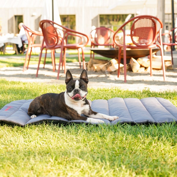 Travel Roll Up Mat For Pet, Waterproof Dog Mat, Outdoor Bed For Dog, Pet Mat Suitable For Walks