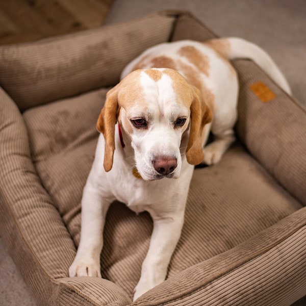 Chew Proof Dog Bed, Medium Dog Bed, Beige Dog Bed