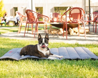 Travel Roll Up Mat For Pet, Waterproof Dog Mat, Outdoor Bed For Dog, Pet Mat Suitable For Walks