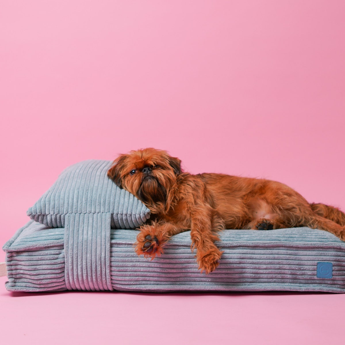 Dog Bed With Removable and Washable Cover Removable Headrest - Etsy