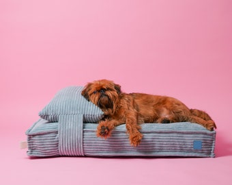 May include: A small, brown dog rests on a light blue corduroy dog bed with a matching pillow. The bed has a rectangular shape with a corduroy strap and a small blue tag. The background is a solid pink.
