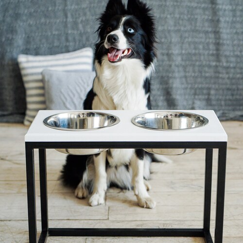 the big dog feeder