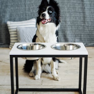 Hundeschalen für große Hunde, Hundeschalen mit Ständer für Labrador, Hundefutter in Xs - XL, Wasserschalen für große Hunde