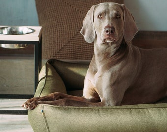 tempurpedic for dogs