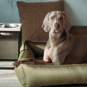 May include: A light brown dog with short fur is lying in a green dog bed. The dog bed has a brown pillow in the back and is on a wooden floor.