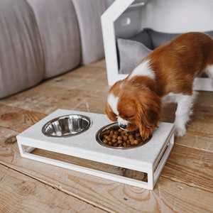 May include: A white elevated dog bowl with two stainless steel bowls. A brown and white dog is eating from one of the bowls.