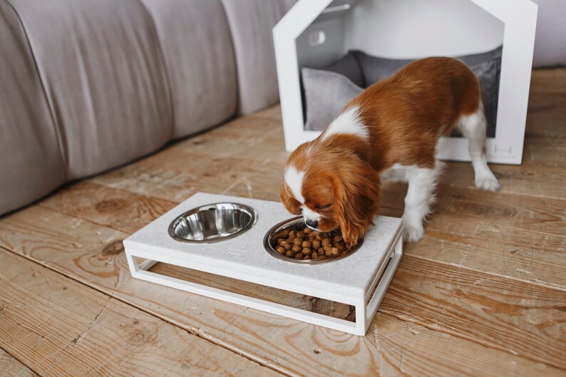 May include: A white elevated dog bowl with two stainless steel bowls. A brown and white dog is eating from one of the bowls.