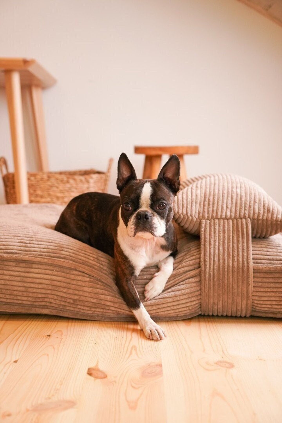 Brown Orthopedic Bed for Dog Memory Foam Pet Mat With Etsy