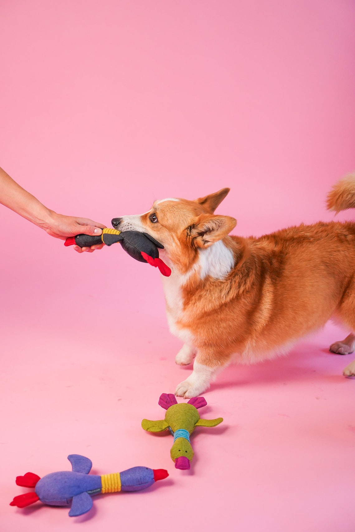 Dog Toy Goose Chew Toy Duck Toy for Dogs Dog Owners Gift Etsy