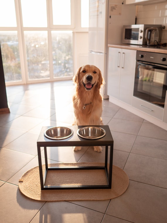 Extra Large Dog Bowls With Stand Elevated Double Bowls Stand for