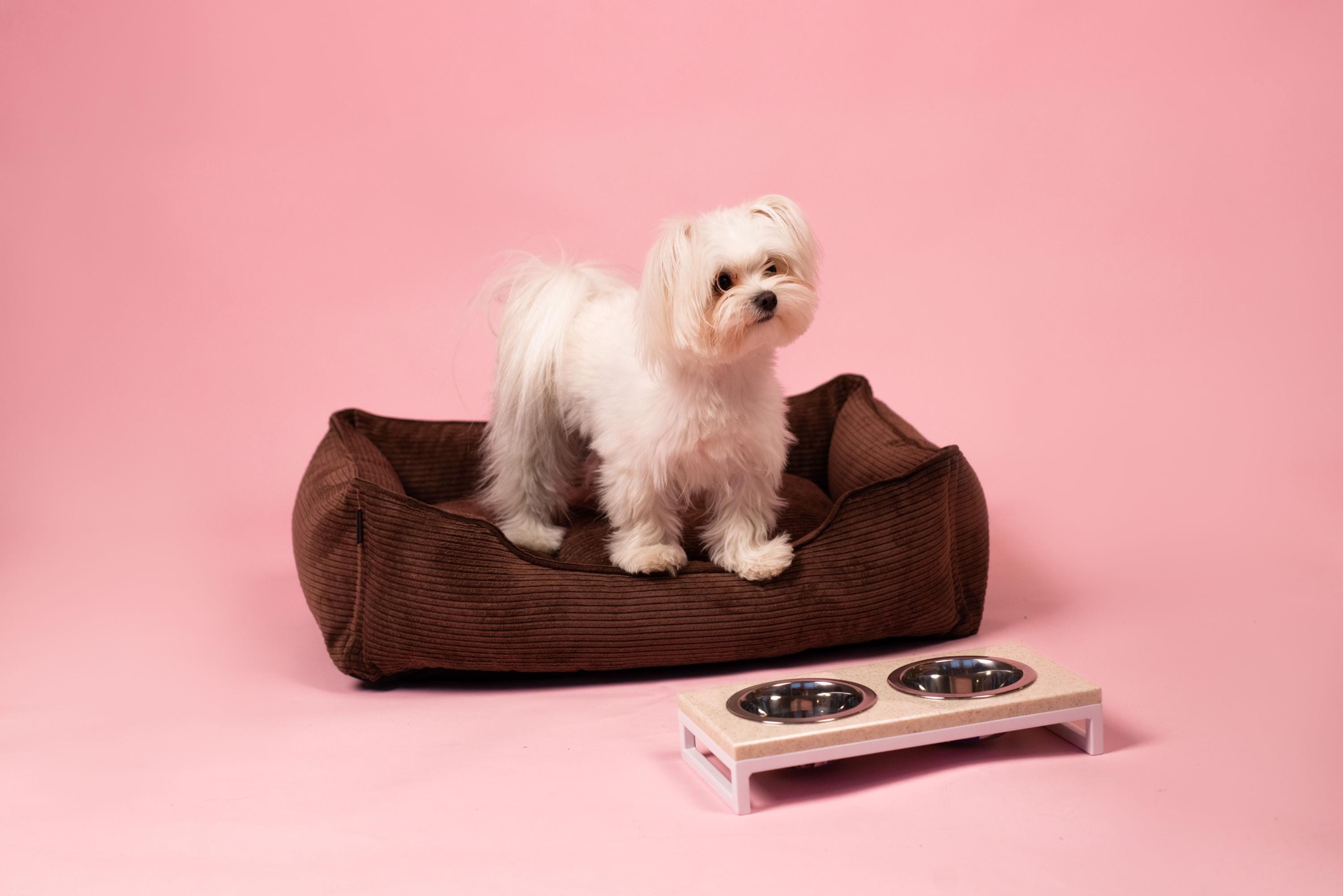 ☺︎︎︎︎ Cama para perros S-XXL grande, pana, suave, marrón, regalo