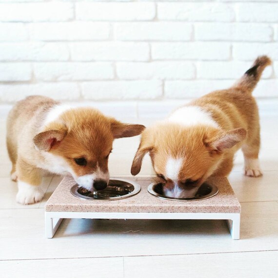 Small Dog Bowls With Stand Stone Top White Metal Base Stone Feeder For Mini Dog Xs Size Raised Pet Bowls Beige Dog Feeder