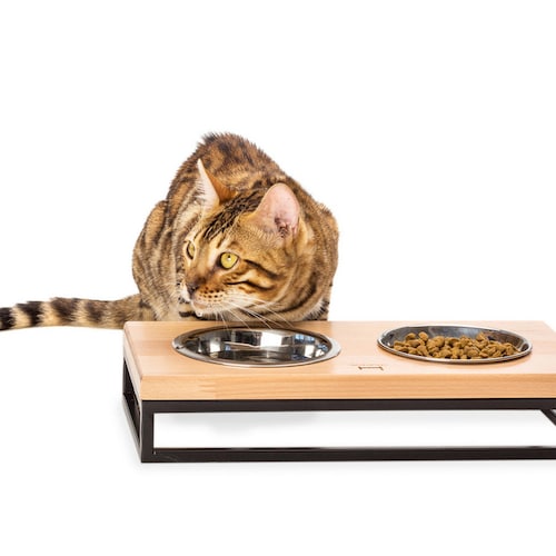 Cat Bowls Stand for Water and Food / Wooden Feeder for Modern Etsy