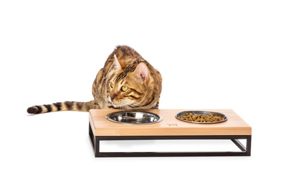 Blue Fish Design Pet Cat Feeder Bowl with Raised Eco-Friendly Natural  Bamboo Base