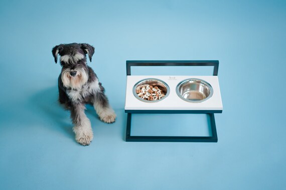 Elevated Food Bowl Set for Growing Puppies Adjustable 