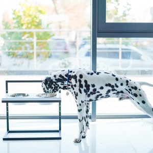 height adjustable dog bowls set